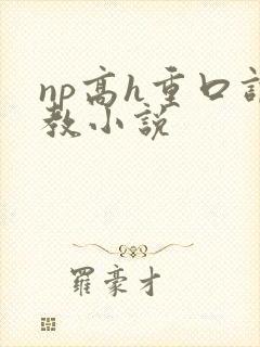 np高h重口调教小说