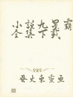 小说九星霸体诀全集下载封面