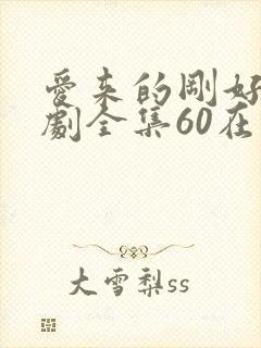 爱来的刚好电视剧全集60在线观看