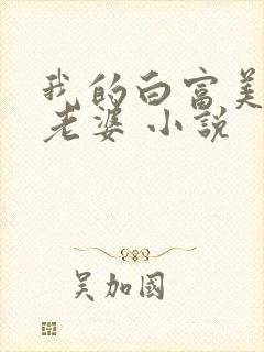 我的白富美总裁老婆 小说