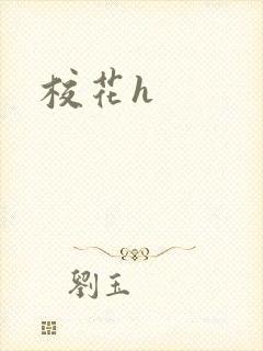 校花h
