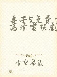 妻子5免费完整高清电视剧在线