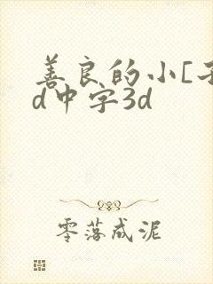 善良的小[子hd中字3d