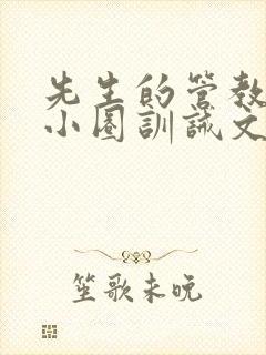 先生的管教日常小圈训诫文