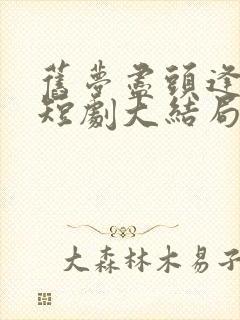 旧梦尽头逢新生短剧大结局封面
