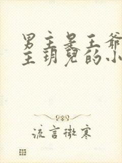 男主是王爷叫女主玥儿的小说