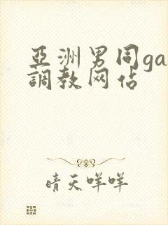 亚洲男同gay调教网站封面