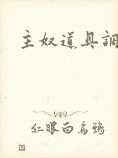 主奴道具调教文