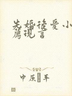 先婚后爱小说推荐现言