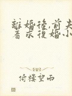 离婚后,前夫哭着求复婚小说全文在线阅读
