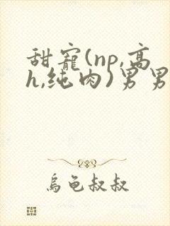 甜宠(np,高h,纯肉)男男