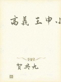高义 王申小说封面