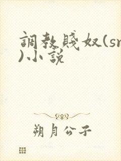 调教贱奴(sm)小说