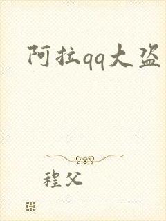 阿拉qq大盗封面