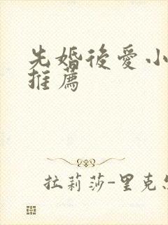 先婚后爱小甜文推荐