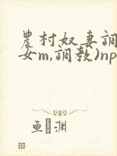 农村奴妻调教(女m,调教)np小说封面