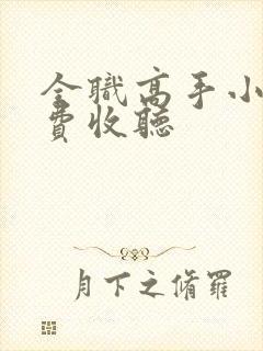 全职高手小说免费收听