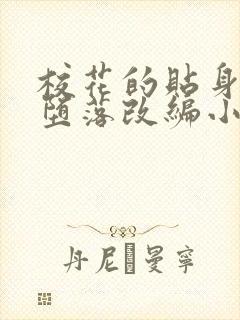 校花的贴身高手堕落改编小说