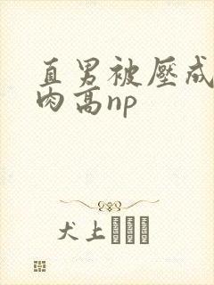 直男被压成总受肉高np封面