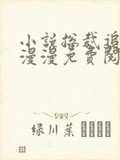 小说总裁追妻路漫漫免费阅读