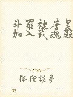 斗罗被唐昊抛弃加入武魂殿的小说