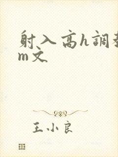 射入高h调教sm文封面