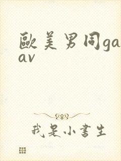 欧美男同gayav
