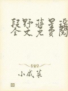 段野蒋星瑶小说全文免费阅读封面
