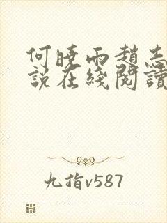 何晓雨赵志远小说在线阅读封面