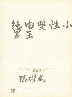 纯肉双性小说双男主