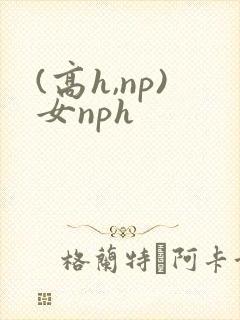 (高h,np)女nph