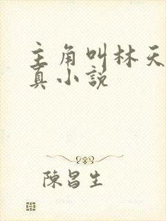 主角叫林天的修真小说封面