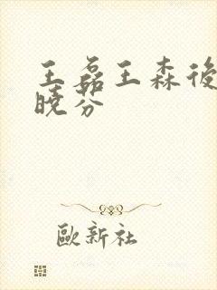 王磊王森后妈杨晓芬