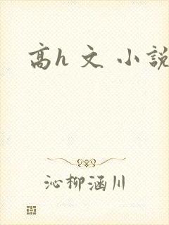 高h 文 小说