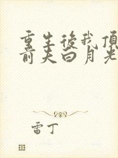 重生后我顶替了前夫白月光 无弹窗