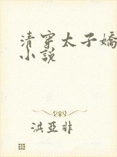 清穿太子娇妃的小说