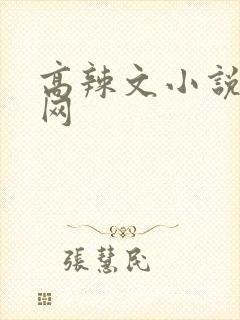 高辣文小说书包网