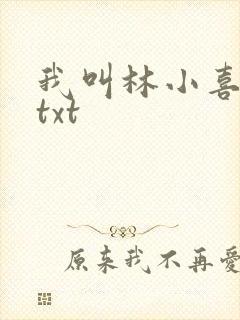 我叫林小喜全文txt封面