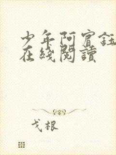 少年阿宾钰慧篇在线阅读