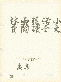 林雨张浩小说免费阅读全文最新章节封面