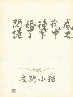 闪婚后我成了大佬了掌中之物封面