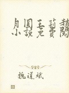 月圆王莉赵先生小说免费阅读封面