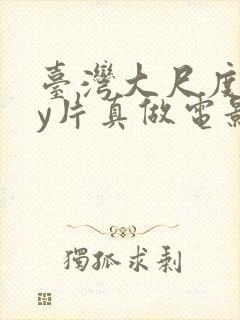 台湾大尺度gay片真做电影