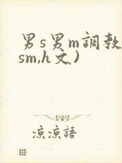 男s男m调教(sm,h文)