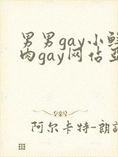 男男gay小鲜肉gay网站亚洲