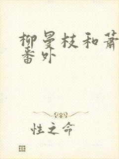 柳曼枝和萧玉珏番外