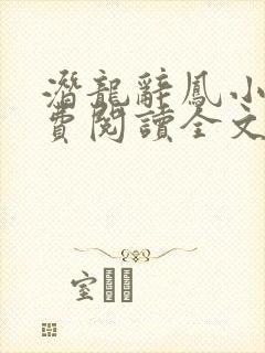 潜龙辞凤小说免费阅读全文最新章节
