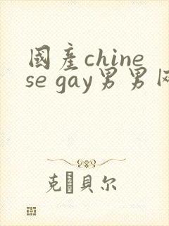 国产chinese gay男男网站