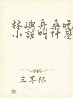 林屿舟桑晚温言小说叫什么名字封面
