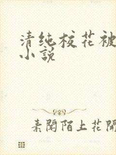 清纯校花被后入小说